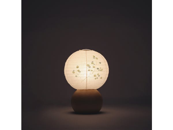 盆提灯10 21011